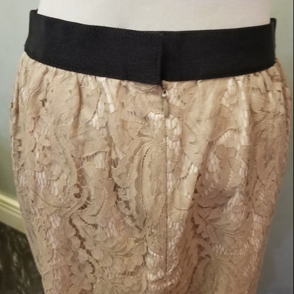 LOFT Ann Taylor lace mini skirt (L24) - Picture 4 of 6